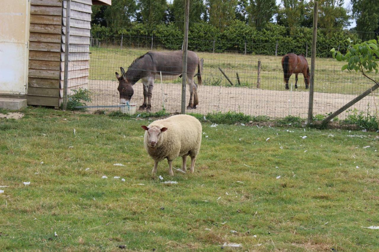 Gite En Campagne Isatis Landemont Extérieur photo